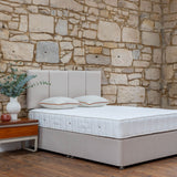 Trend Bed