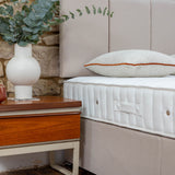 Trend Bed