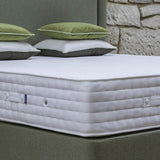 Synergy Mattress